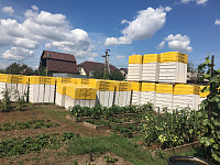 ПЕРЕМЫЧКА КОТТЕДЖ D600 В3.5 2000х200х250